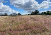 Non-developable land for sale on España, Badajoz, ref: TR130649 photo