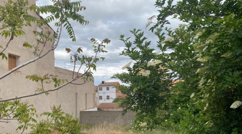Teruel - Monreal del Campo - 228m2
