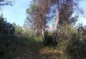 Parcel·la urbanitzable en venda a la España, Vacarisses, ref.: TR131240 foto