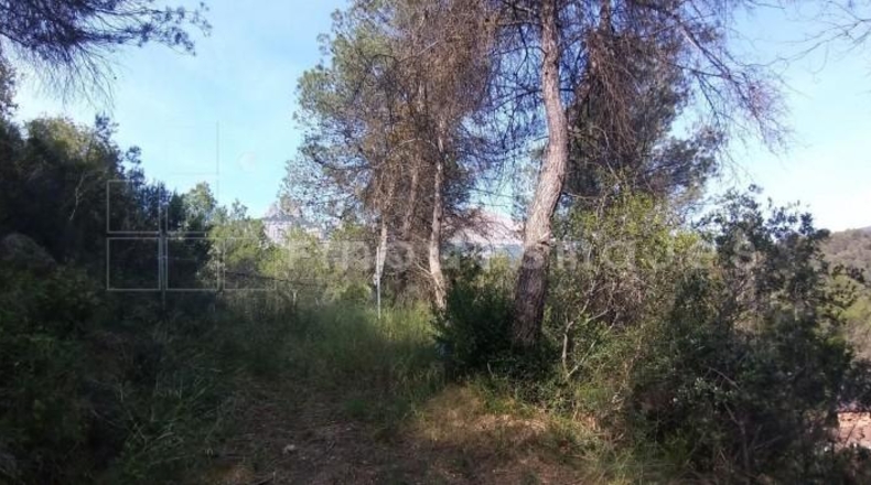 Barcelona - Vacarisses - 547m2