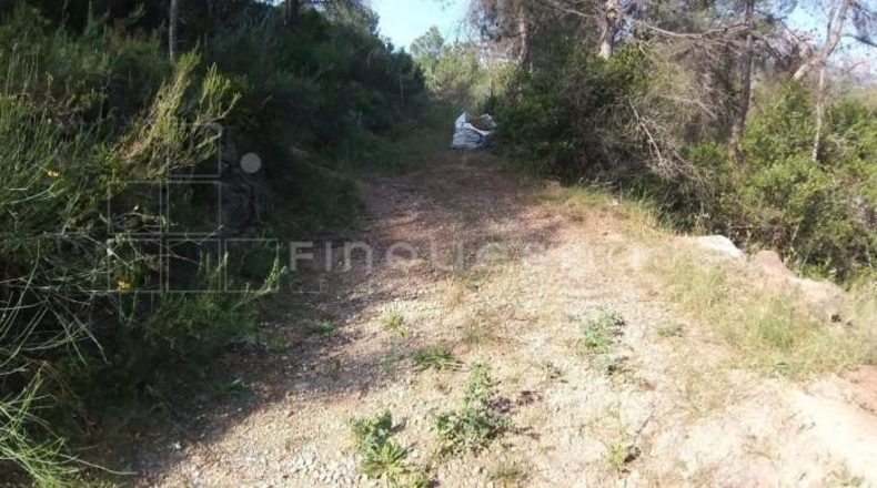 Barcelona - Vacarisses - 547m2