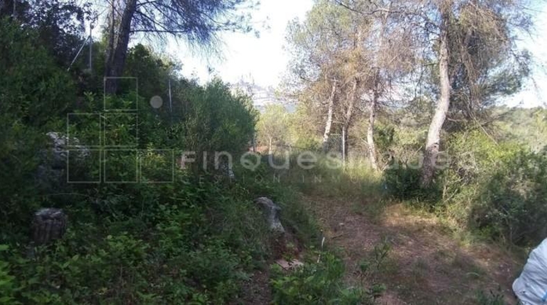 Barcelona - Vacarisses - 547m2
