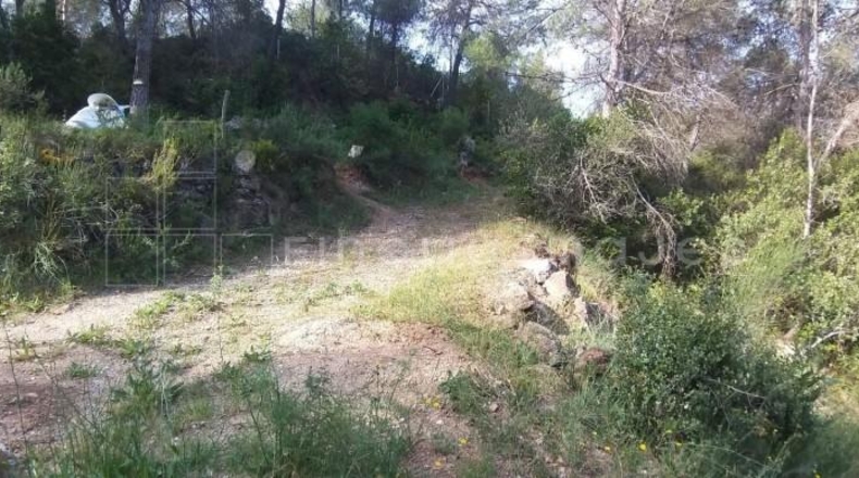 Barcelona - Vacarisses - 547m2