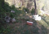 Parcel·la urbanitzable en venda a la España, Vacarisses, ref.: TR131240 foto
