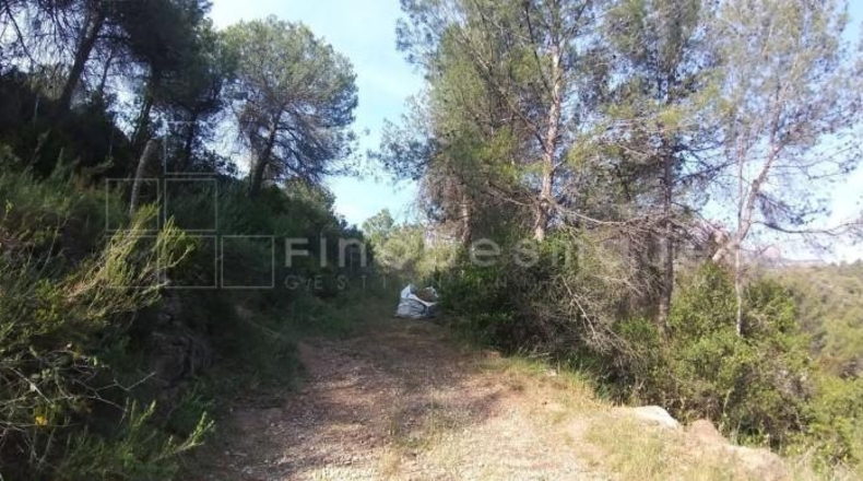 Barcelona - Vacarisses - 547m2