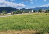 Terreny no urbanitzable en venda a la España, Ponferrada, ref.: TR131332 foto