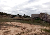 Land suitable for development for sale on España, Valdeltormo, ref: TR131393 photo