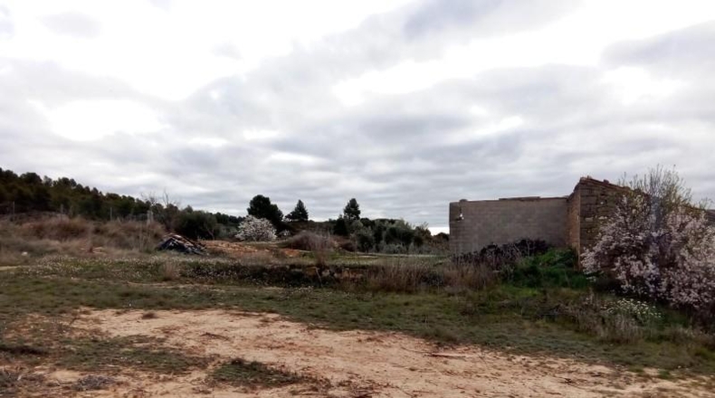 Teruel - Valdeltormo - 1025m2
