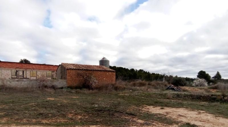 Teruel - Valdeltormo - 1025m2