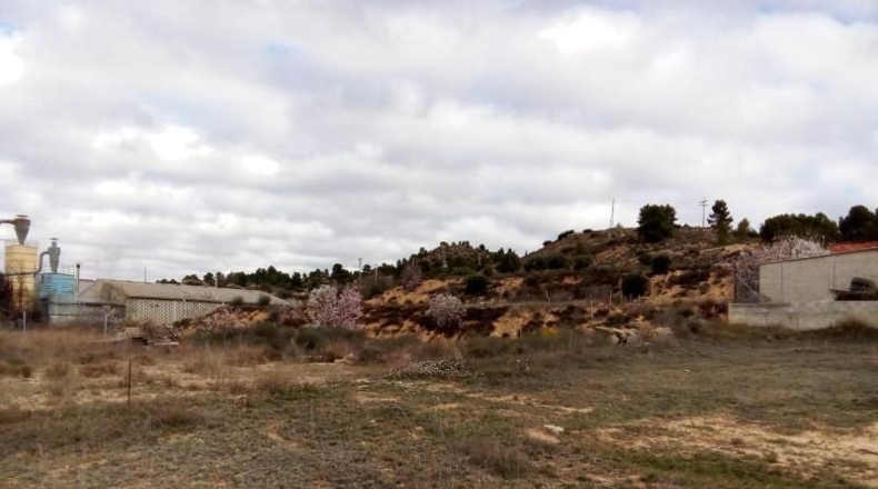 Teruel - Valdeltormo - 1025m2