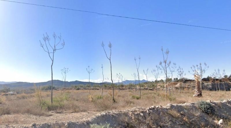 Alicante - Новельда - 8244m2