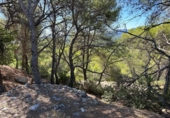 Casa amb terreny en venda a la España, Albalat dels Tarongers, ref.: TR301617 foto