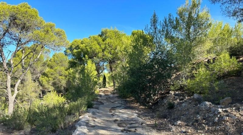 Valencia - Albalat de Tarongers - 132m2