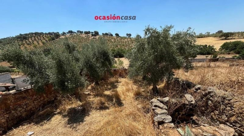 Córdoba - Fuente Obejuna - 106m2