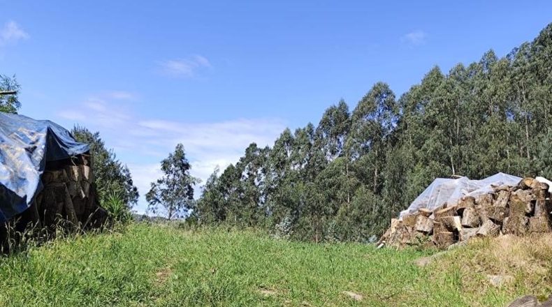 Cantabria - Socobio - 8168m2