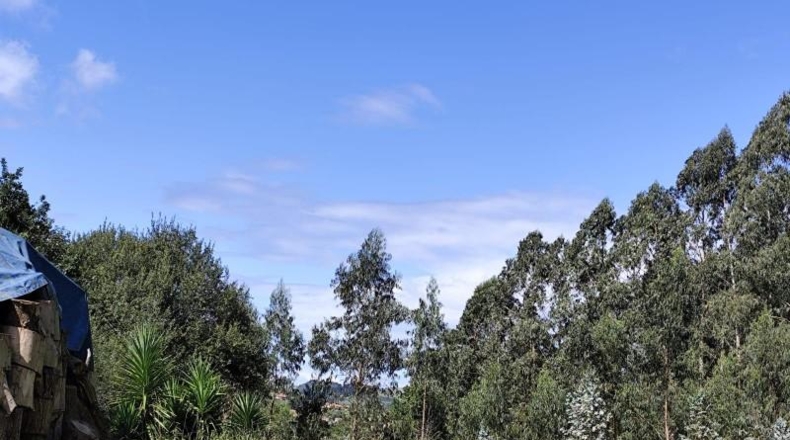 Cantabria - Socobio - 8168m2