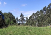 Parcela urbanizable en venta en la España, Socobio, ref: TR345333 foto