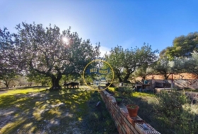 Ontinyent 5406&nbsp;m²