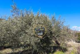 Ontinyent 5406&nbsp;m²