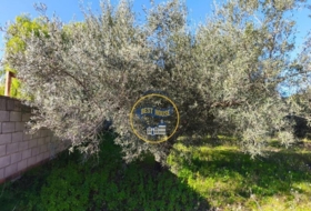 Ontinyent 5406&nbsp;m²