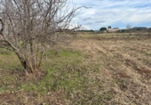 Terreno no urbanizable en venta en la España, Manresa, ref: TR382029 foto