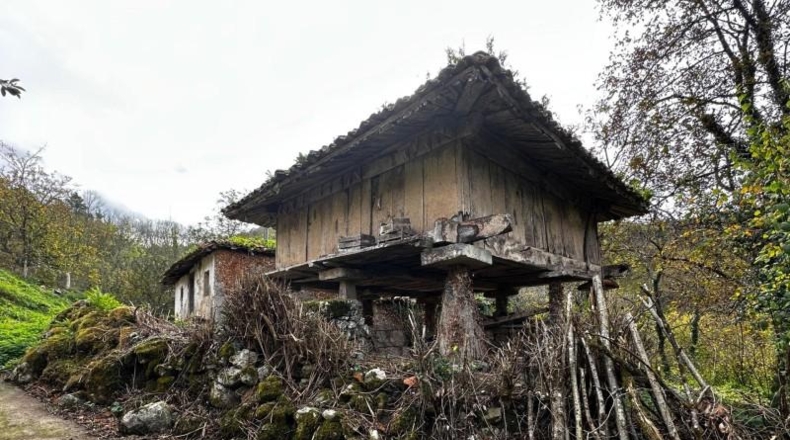 Asturias - Cangas de Onís - 320m2