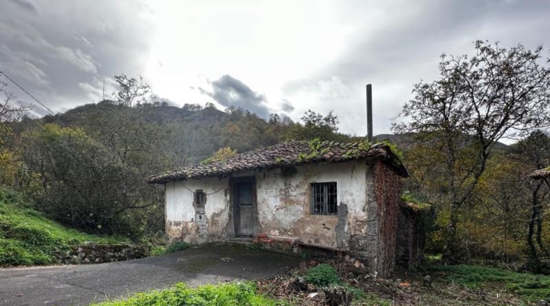 Asturias - Cangas de Onís - 320m2