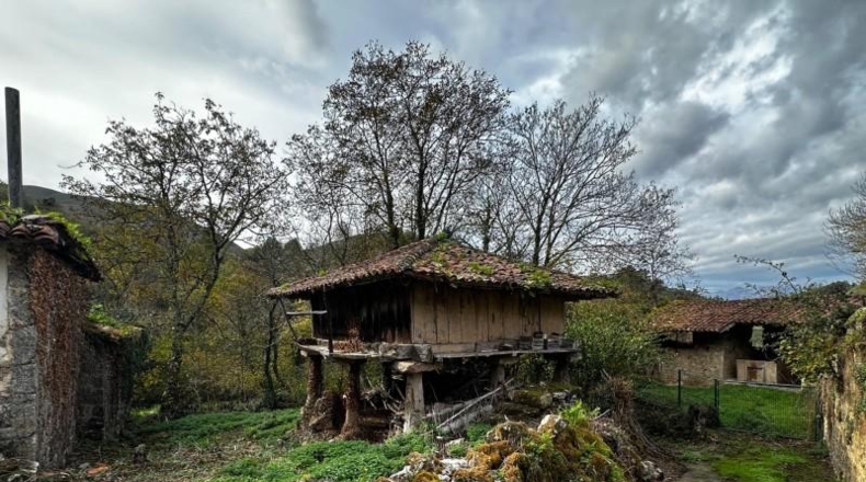 Asturias - Cangas de Onís - 320m2