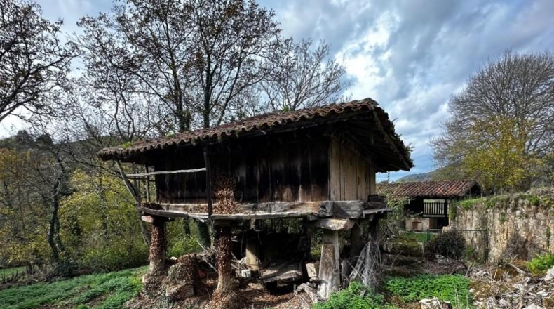 Asturias - Cangas de Onís - 320m2