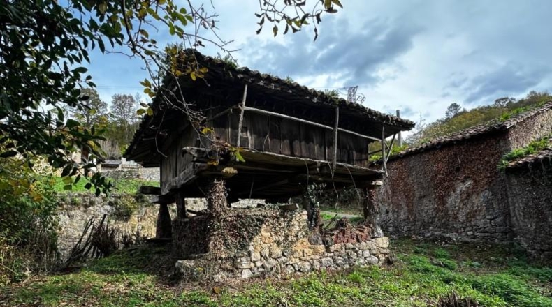 Asturias - Cangas de Onís - 320m2