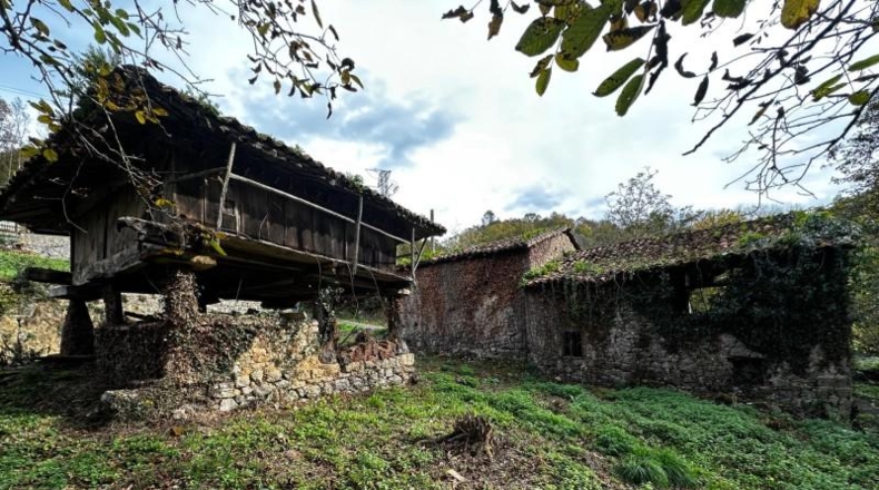 Asturias - Cangas de Onís - 320m2