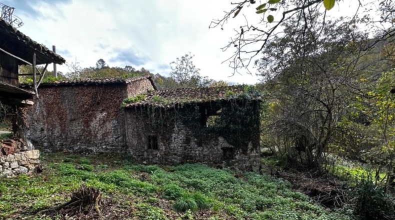 Asturias - Cangas de Onís - 320m2
