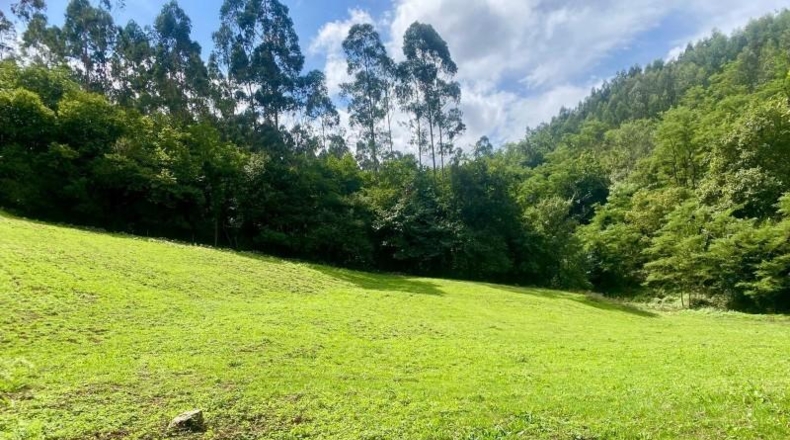 Cantabria - Новалес - 8846m2