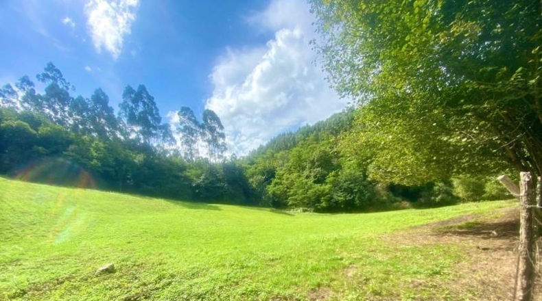 Cantabria - Новалес - 8846m2
