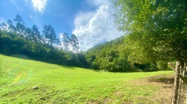 Cantabria - Новалес - 8846m2