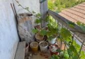 Chalet independiente con terreno en venta en la España, Trespaderne, ref: TR318636 foto