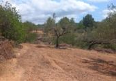 Terreno no urbanizable en venta en la España, Tortosa, ref: TR320635 foto