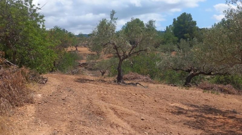 Tarragona - Tortosa - 33000m2