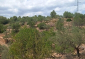 Terreno no urbanizable en venta en la España, Tortosa, ref: TR320635 foto