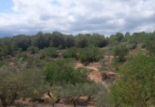 Terreno no urbanizable en venta en la España, Tortosa, ref: TR320635 foto