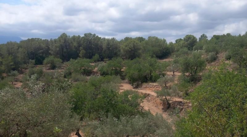 Tarragona - Tortosa - 33000m2