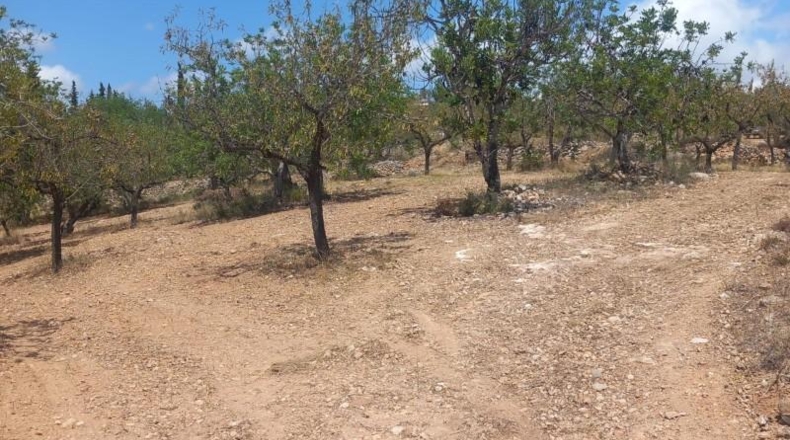 Tarragona - Tortosa - 33000m2