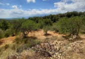 Terreno no urbanizable en venta en la España, Tortosa, ref: TR320635 foto