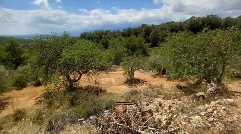 Tarragona - Tortosa - 33000m2
