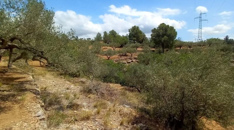 Tarragona - Tortosa - 33000m2