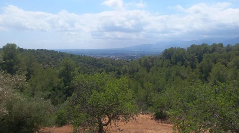Tarragona - Tortosa - 33000m2