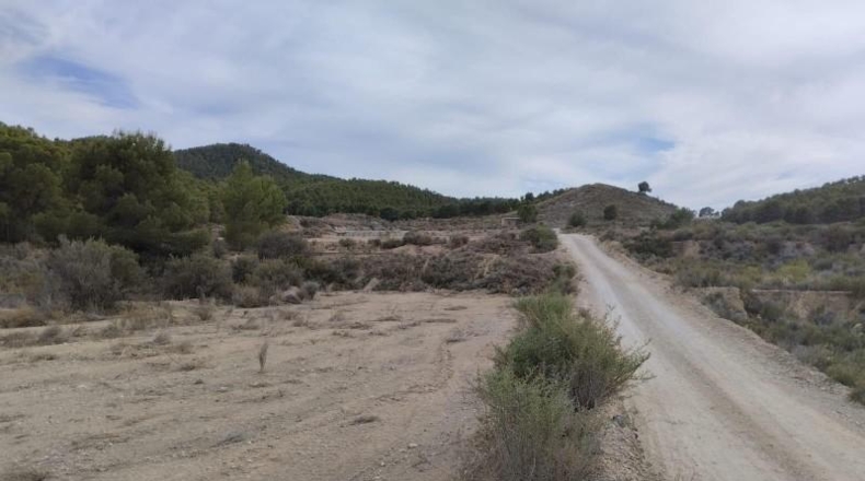 Murcia - Totana - 6109m2