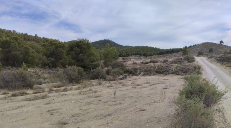 Murcia - Totana - 6109m2