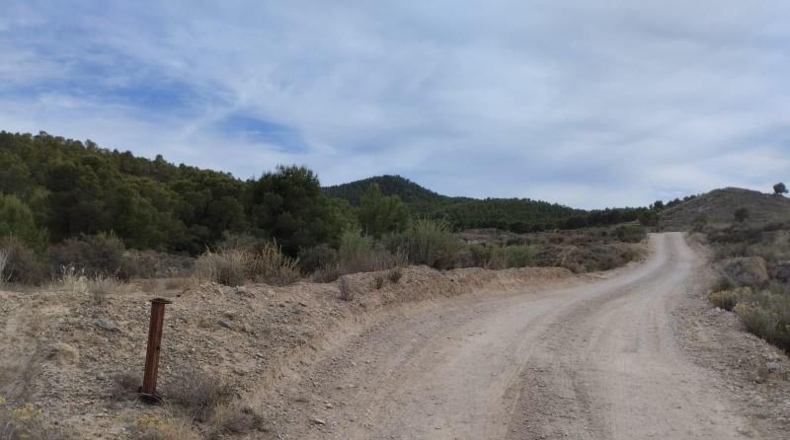 Murcia - Totana - 6109m2