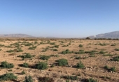 Terreny no urbanitzable en venda a la España, Alhama de Murcia, ref.: TR248214 foto